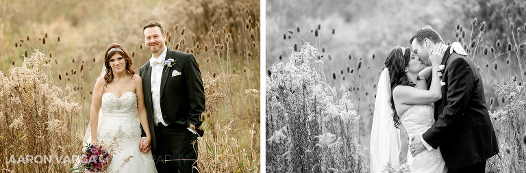 26 boyce park field(pp w768 h253) - Lindsey + Sean | Syria Shrine Wedding Photos