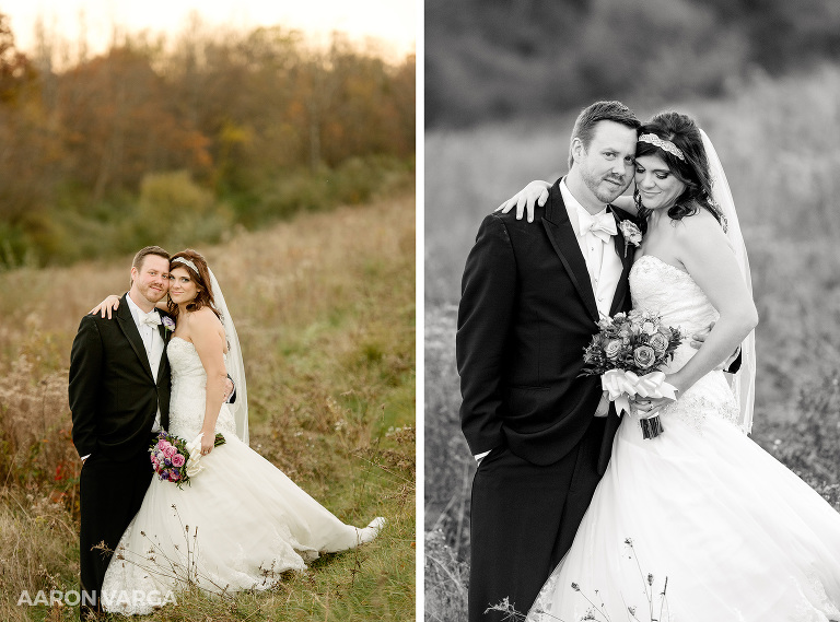 29 boyce park wedding photos in field(pp w768 h569) - Lindsey + Sean | Syria Shrine Wedding Photos