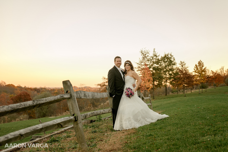 32 boyce park sunset wedding photos(pp w768 h512) - Lindsey + Sean | Syria Shrine Wedding Photos
