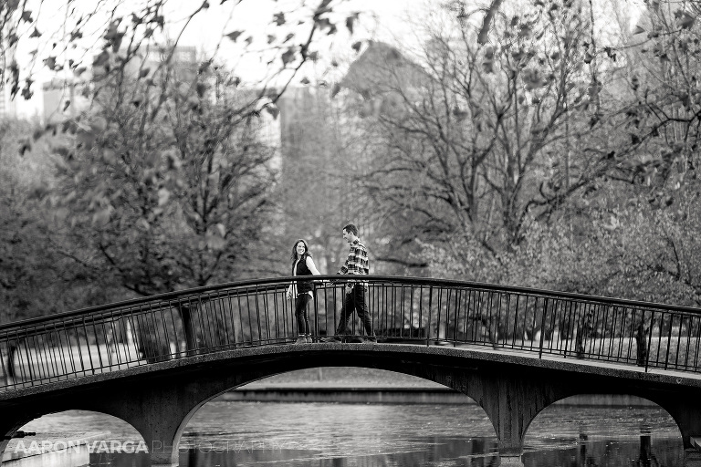 35 west park bridge(pp w768 h512) - 2016: Year in Review