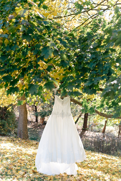 13 syria shrine wedding(pp w480 h718) - Best of 2016: Dresses