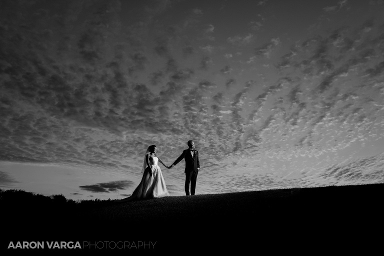 12 off camera flash wedding(pp w768 h512) - Best of 2016: End of the Night Portraits