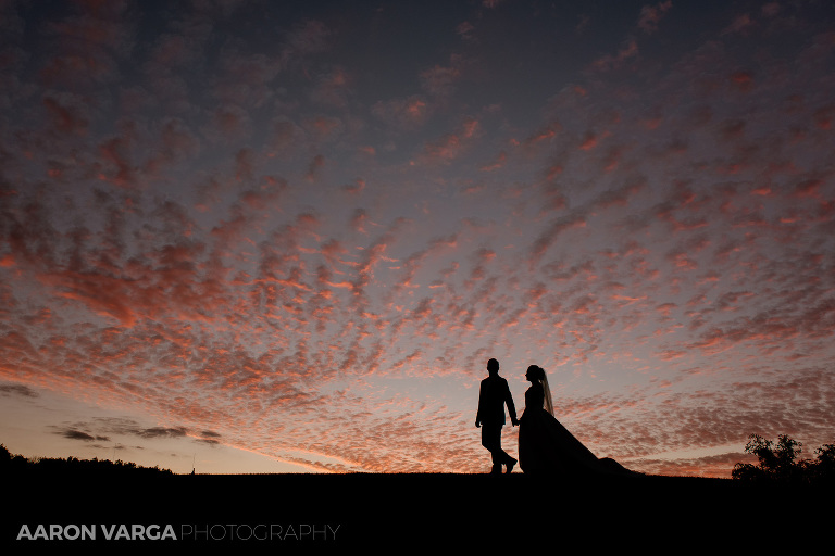 23 silhouette sunset photos(pp w768 h512) - Best of 2016: End of the Night Portraits