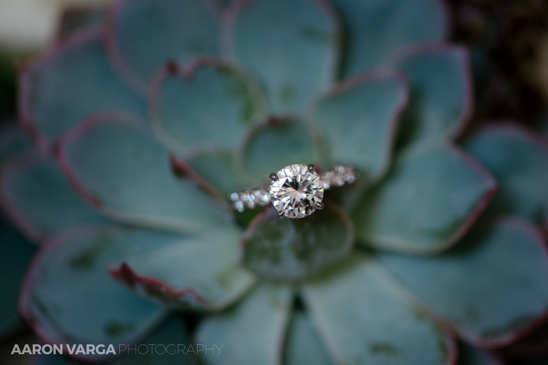 03 succulent wedding ring(pp w768 h512) - Best of 2016: Rings