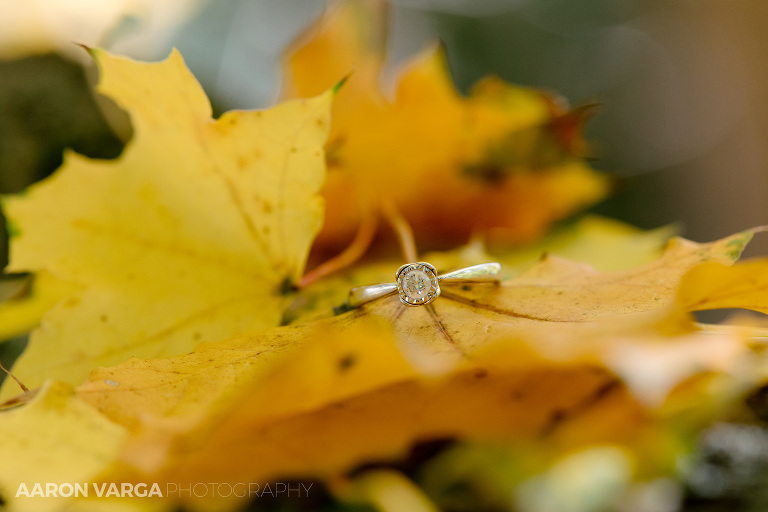 13 fall leaves wedding rings(pp w768 h512) - Best of 2016: Rings