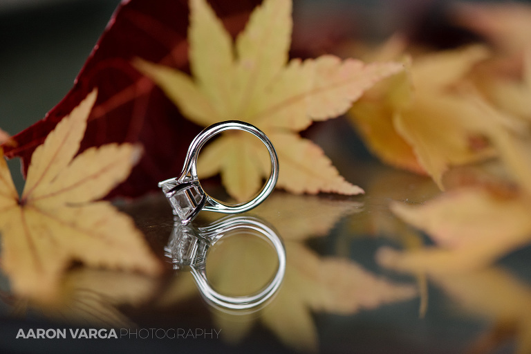 diamond engagement ring fall(pp w768 h512) - Best of 2016: Rings