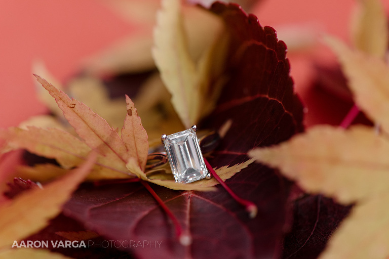 fall engagement ring(pp w768 h512) - Best of 2016: Rings
