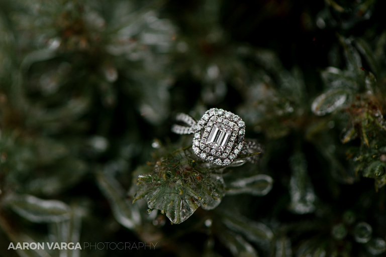 winter engagement ring photo(pp w768 h512) - Best of 2016: Rings
