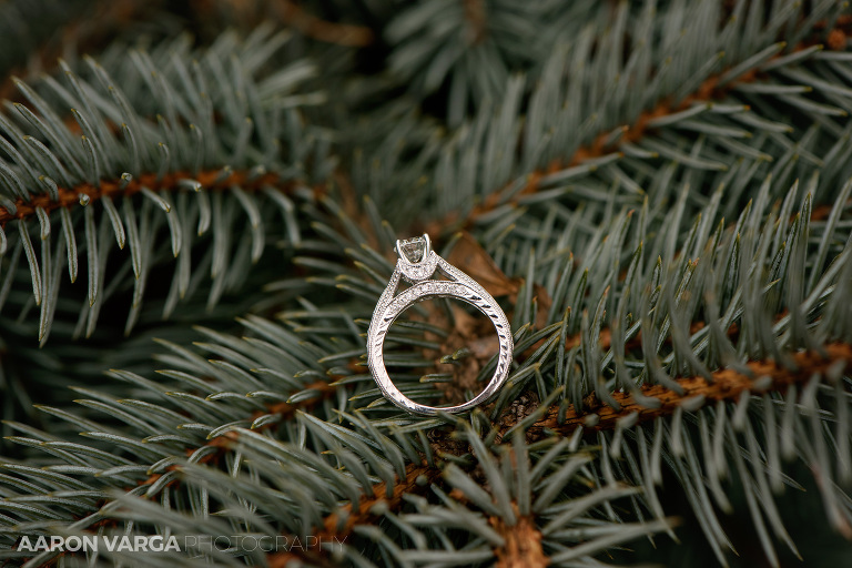 01 winter wedding engagement ring(pp w768 h512) - Allison + Mike | South Park and Meadows Casino Wedding Photos