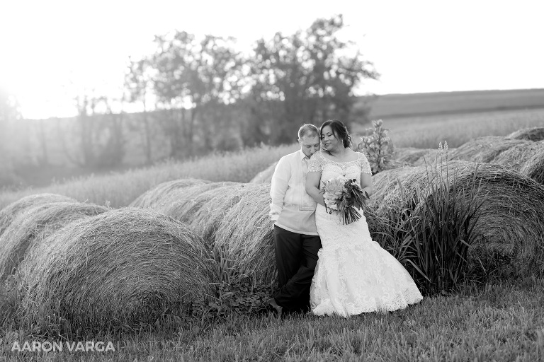 38 shady elms farm sunset(pp w768 h512) - Iona + Eric | Shady Elms Farm Wedding Photos