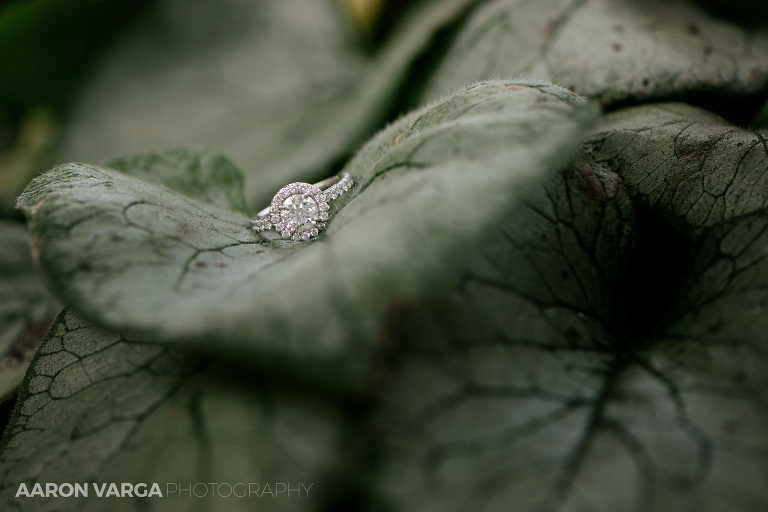 05 garden wedding engagement ring(pp w768 h512) - Annie + Jeff | The Pennsylvanian Wedding Photos