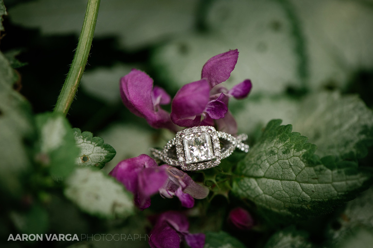 07 shady elms engagement ring(pp w768 h512) - Stacy + Jeff | Shady Elms Farm Wedding Photos