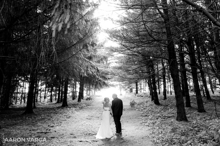 33 shady elms farm trees(pp w768 h512) - Stacy + Jeff | Shady Elms Farm Wedding Photos