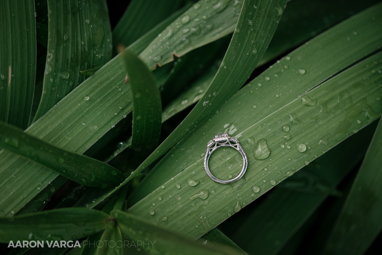 01 wet ferns engagement ring(pp w768 h512) - Amanda + Keith | The Club at Shadow Lakes Wedding Photos
