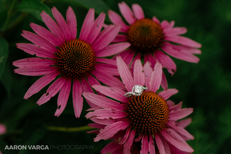 01 armstrong farms engagement ring photo(pp w768 h512) - Bridget + Chris | Armstrong Farms Wedding Photos