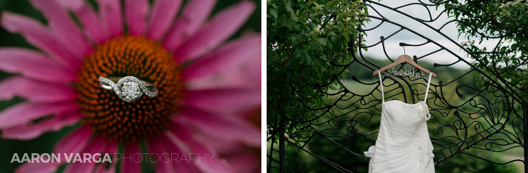 06 armstrong farms engagement ring wedding dress(pp w768 h252) - Bridget + Chris | Armstrong Farms Wedding Photos