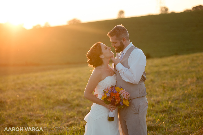 46 armstrong farms sunset wedding photo(pp w768 h512) - Bridget + Chris | Armstrong Farms Wedding Photos