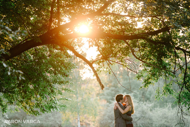 08 mellon park sunset tree photos(pp w768 h512) - Melissa + Dan (Part II) |  Mellon Park Engagement Photos