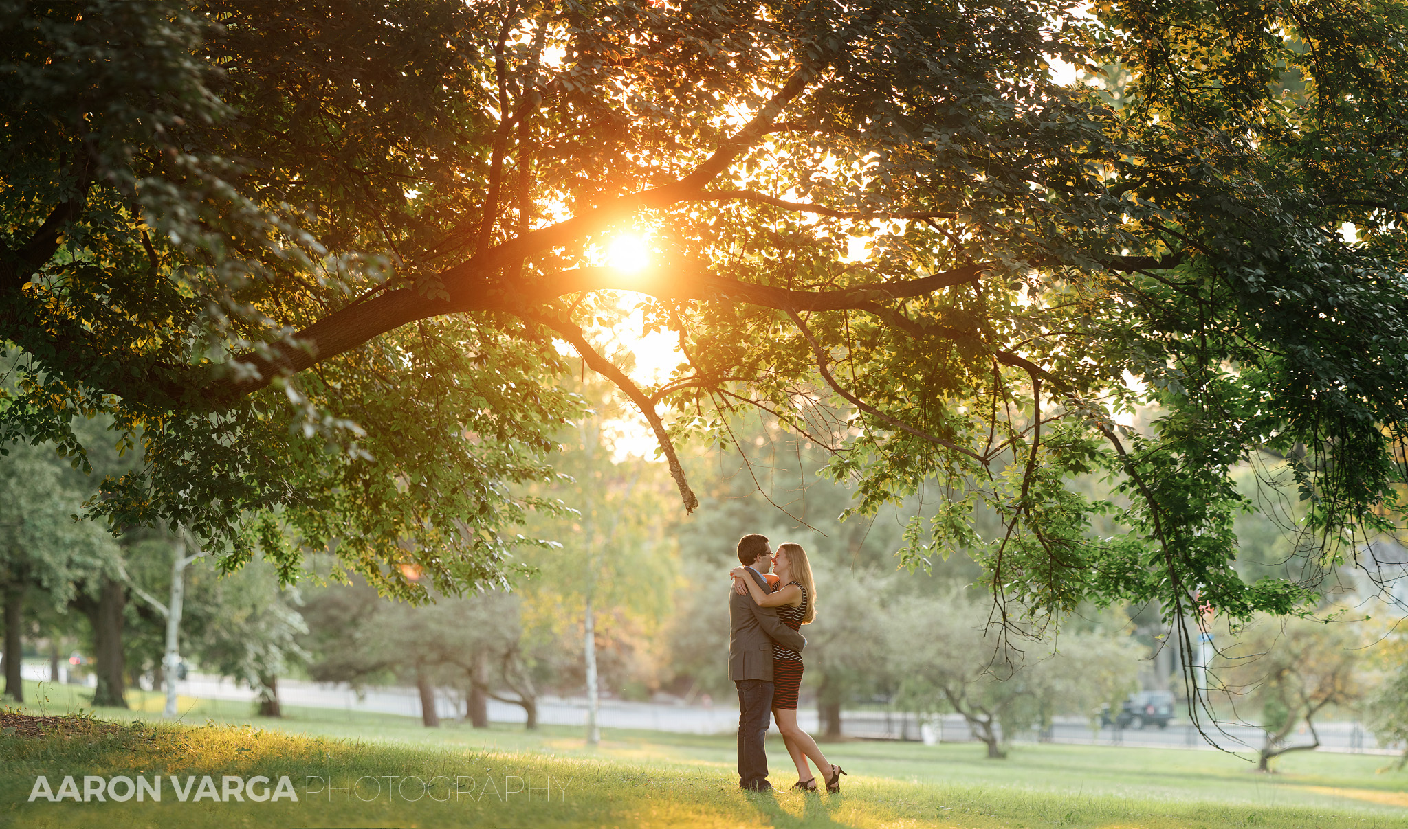 09 brenizer method sunset engagement mellon park - Melissa + Dan (Part II) |  Mellon Park Engagement Photos