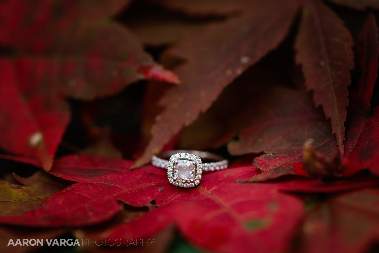 01 fall wedding ring photo(pp w768 h512) - Alexis + Matt | Greensburg Country Club Wedding Photos