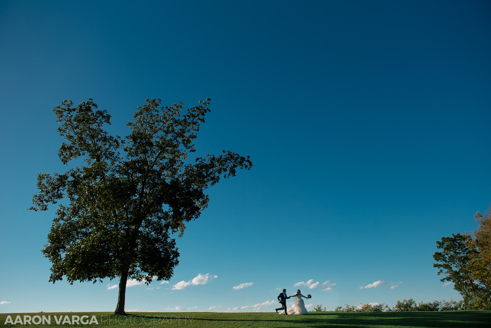 41 longue vue club tree wedding - Madison + Robert | Longue Vue Club Wedding Photos