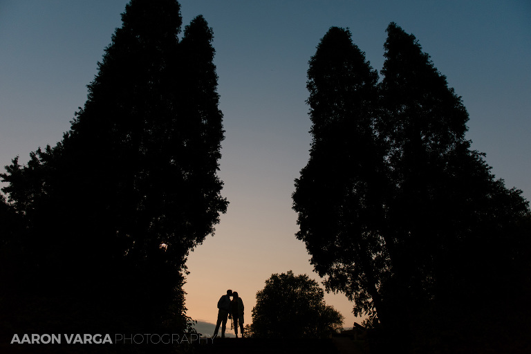 15 epic silhouette mellon park(pp w768 h512) - Amanda + Brandon (Part II) |  Mellon Park Engagement Photos