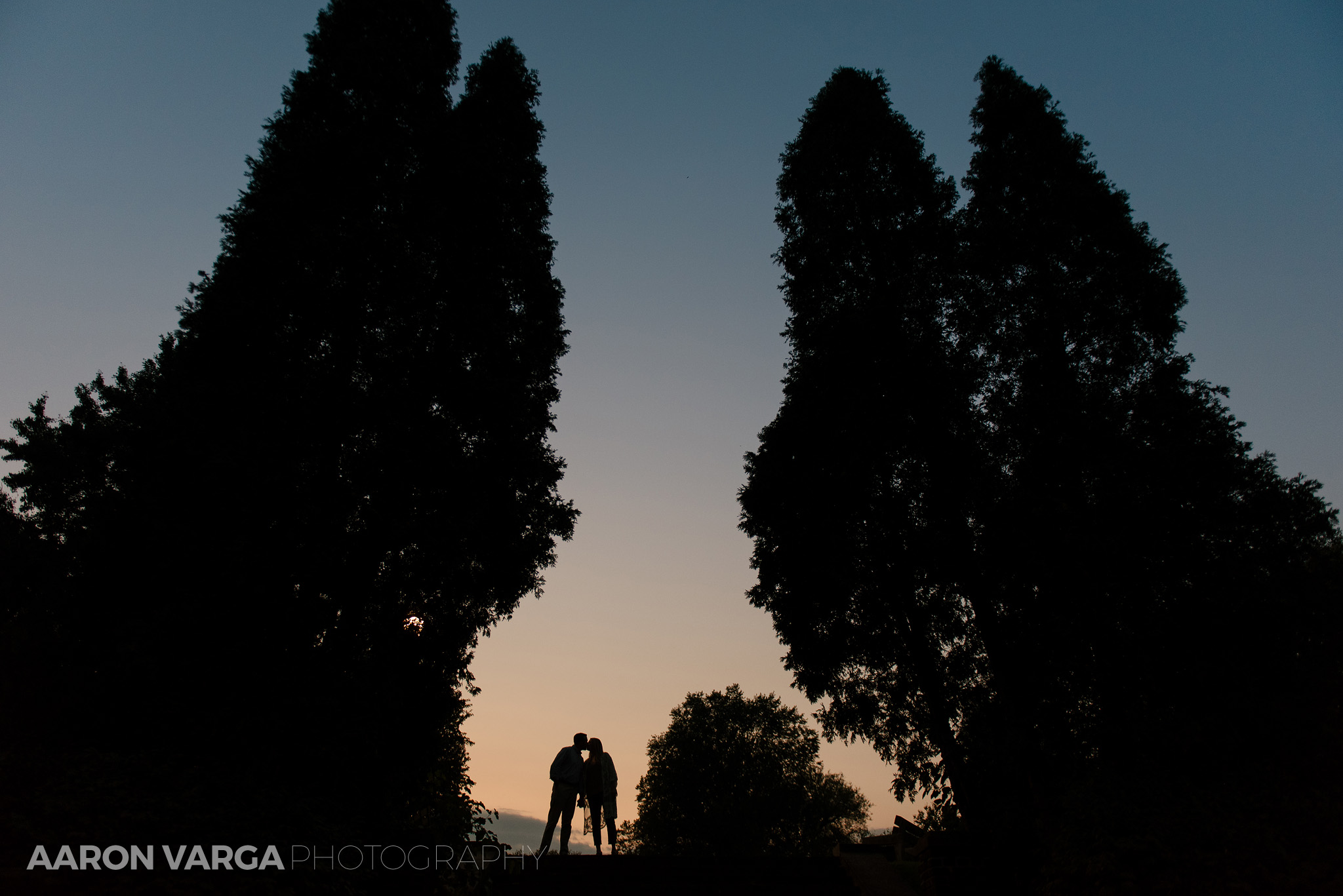 15 epic silhouette mellon park - Amanda + Brandon (Part II) |  Mellon Park Engagement Photos
