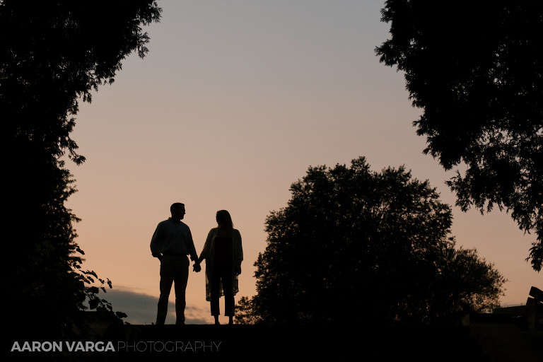 16 mellon park silhouette(pp w768 h512) - Amanda + Brandon (Part II) |  Mellon Park Engagement Photos