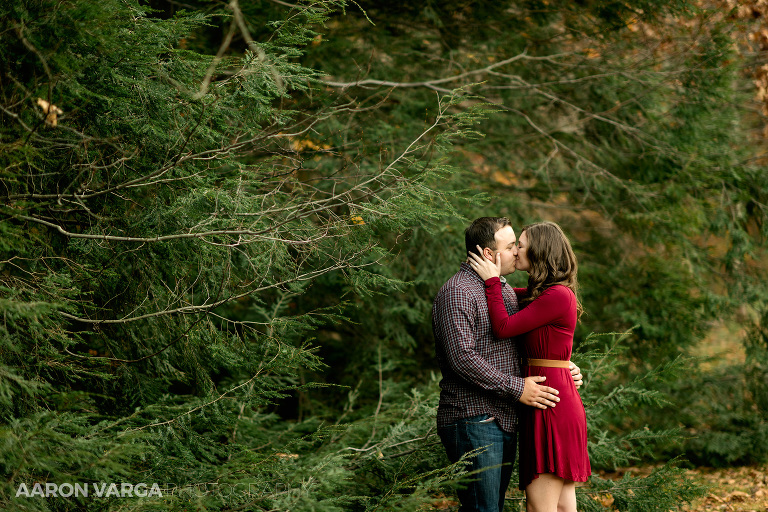 13 laurel highlands engagement(pp w768 h512) - Sarah + Jeff | Seven Springs Mountain Resort Engagement Photos