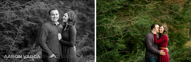 14 engagement photos in laurel highlands(pp w768 h253) - Sarah + Jeff | Seven Springs Mountain Resort Engagement Photos