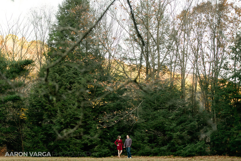 15 laurel highlands seven springs(pp w768 h512) - Sarah + Jeff | Seven Springs Mountain Resort Engagement Photos