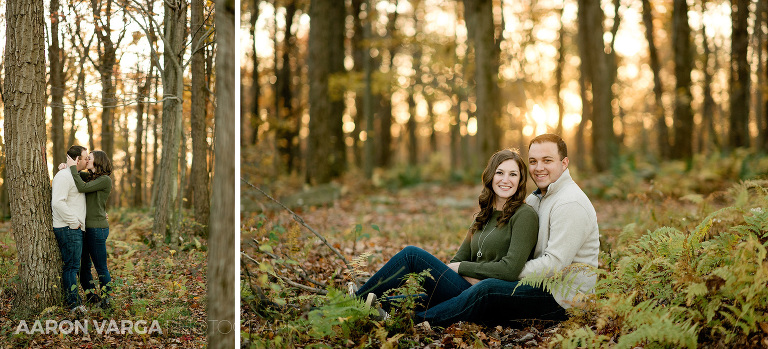24 seven springs engagement photos forest(pp w768 h349) - Sarah + Jeff | Seven Springs Mountain Resort Engagement Photos