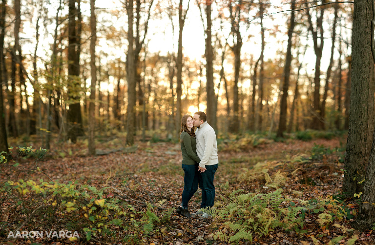27 brenizer method woods engagement(pp w768 h502) - Sarah + Jeff | Seven Springs Mountain Resort Engagement Photos