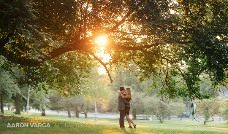 48 sunset at mellon park(pp w768 h452) - 2017: Year in Review