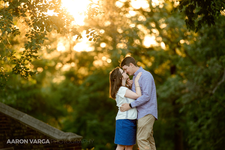 53 mellon park sunset engagement(pp w768 h512) - 2017: Year in Review