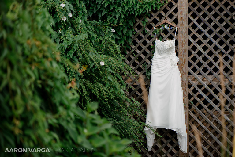 19 armstrong farms wedding dress(pp w768 h512) - Best of 2017: Dresses
