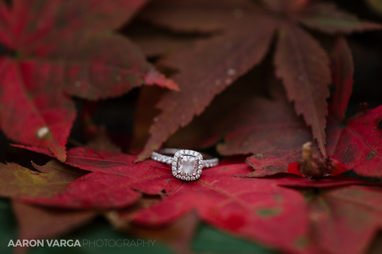 07 fall leaves engagement ring(pp w768 h512) - Best of 2017: Rings