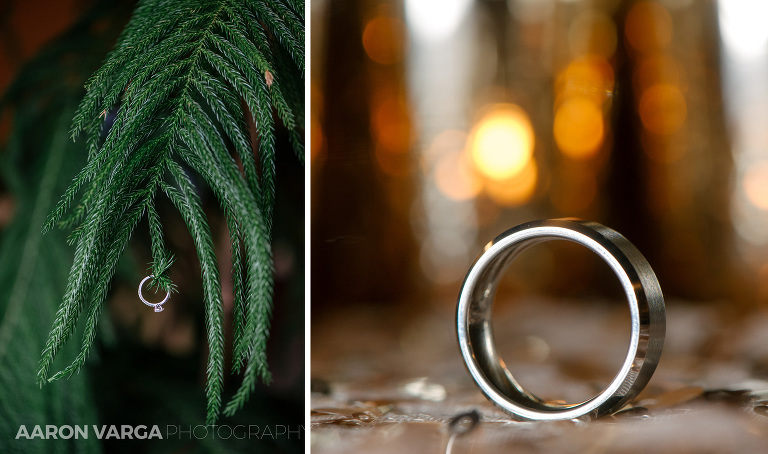 08 wedding ring engagement photos(pp w768 h454) - Best of 2017: Rings