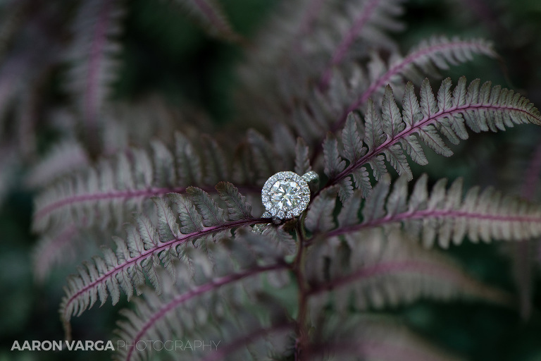 09 ring shot wedding(pp w768 h512) - Best of 2017: Rings