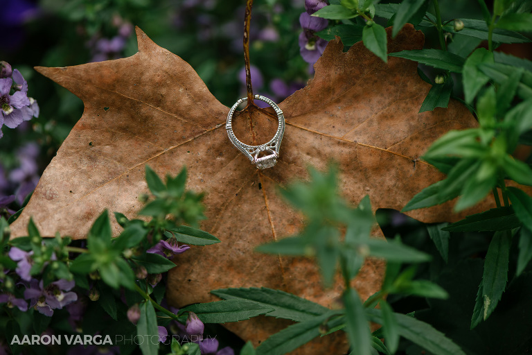 10 engagement rings wedding photo(pp w768 h512) - Best of 2017: Rings