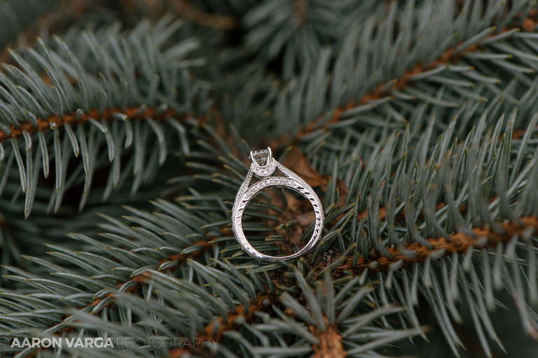 20 winter wedding engagement ring(pp w768 h512) - Best of 2017: Rings