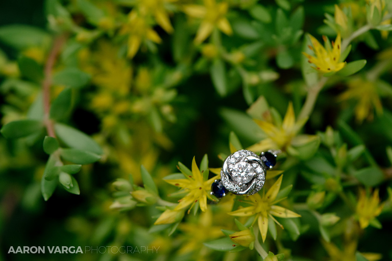 21 shady elms farm diamond engagement ring(pp w768 h512) - Best of 2017: Rings