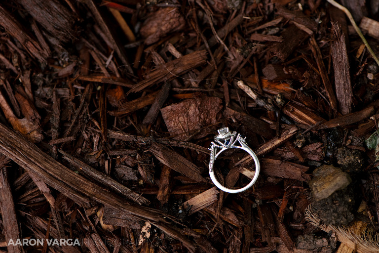 22 outdoor wedding diamond engagement ring(pp w768 h512) - Best of 2017: Rings