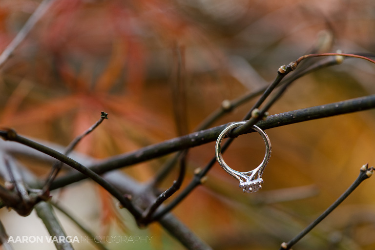 28 fall engagement ring wedding photo(pp w768 h512) - Best of 2017: Rings