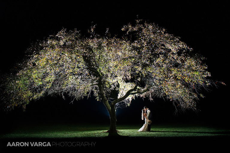 03 light up tree off camera flash(pp w768 h512) - Best of 2017: End of the Night Portraits