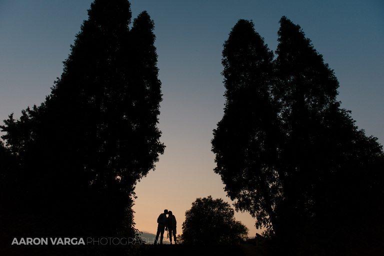 09 mellon park silhouette(pp w768 h512) - Best of 2017: End of the Night Portraits
