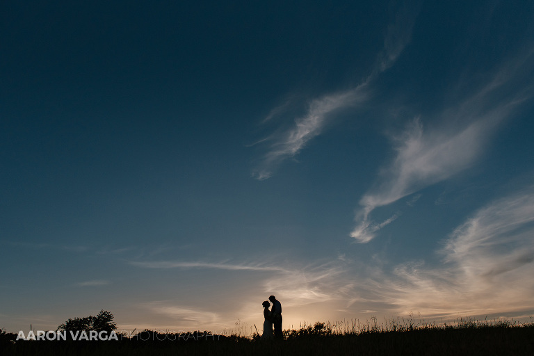 16 shady elms farm wedding silhouette(pp w768 h512) - Best of 2017: End of the Night Portraits