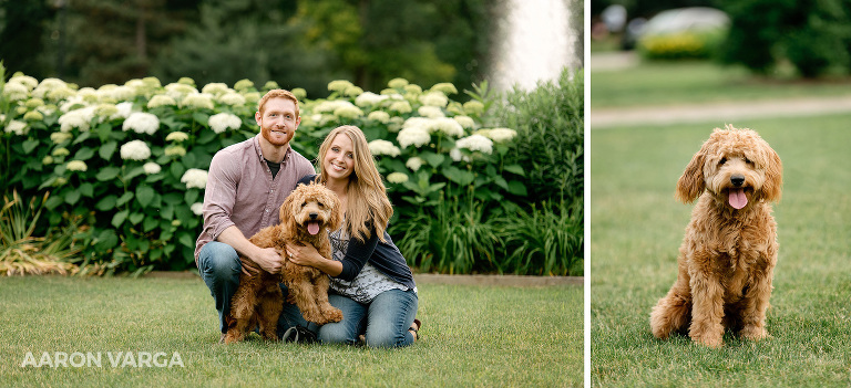 10 highland park engagement photos with dog(pp w768 h351) - Danielle + Zack | Highland Park and Strip District Engagement Photos