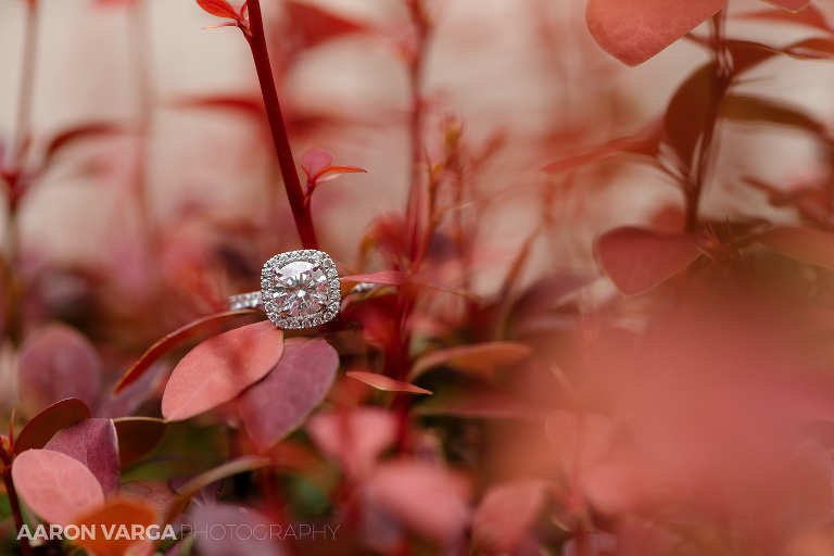 05 big engagement ring 1(pp w768 h512) - Sarah + Jeff | Longue Vue Club Wedding Photos