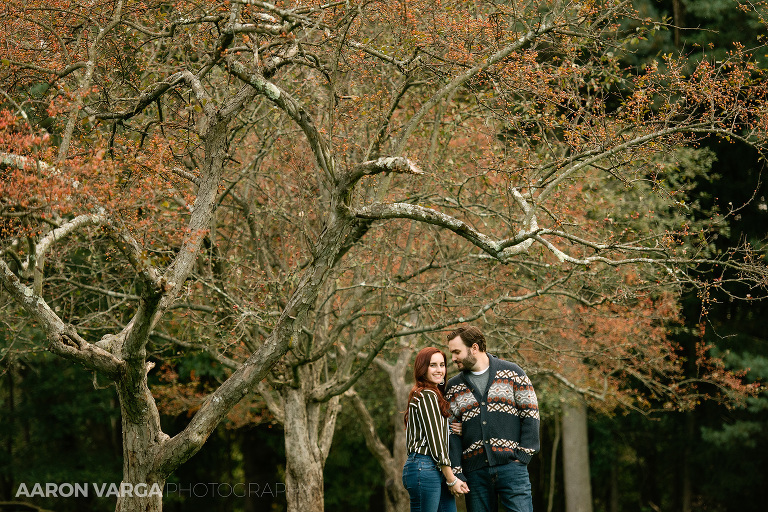 23 hartwood acres fall tree(pp w768 h512) - Ashley + Jimmy | Hartwood Acres Engagement Photos